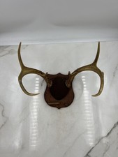 Vintage european roe for sale  Monroe
