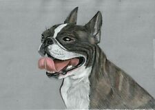 Original coloured pencil for sale  SOUTHSEA