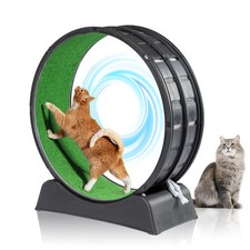 Cat exercise wheel for sale  Flanders