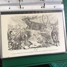 John leech antique for sale  EXETER