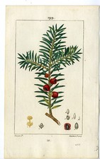 Antique print pl.199 d'occasion  Expédié en Belgium