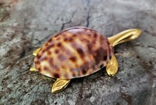 Gold shell turtle for sale  MACHYNLLETH
