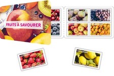 Lots carnet fruit d'occasion  Draveil