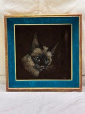 Oil velvet siamese for sale  RUGBY
