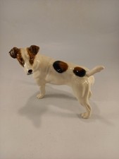 Jack russell terrier for sale  STROUD