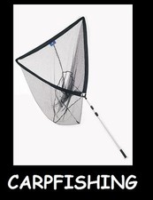 Guadino carp fishing usato  Amelia