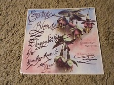 Concrete blonde happy for sale  STAFFORD