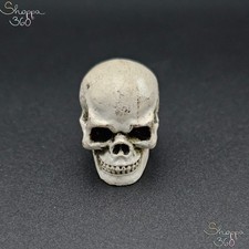 cranio umano usato cranio umano usato  Lugo