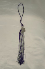 2025 graduation tassel for sale  Hollywood