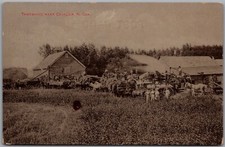 Cartão postal Dakota do Norte c1910s Threshing near Cavalier Farming máquina a vapor comprar usado  Enviando para Brazil
