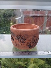 Bonsai cactus succulent for sale  BRISTOL