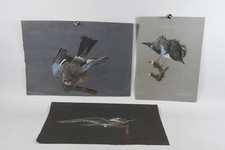 N62y68 pastell tierstudie gebraucht kaufen  Neu-Ulm