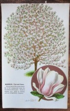 Vtg print magnolia for sale  Belfast