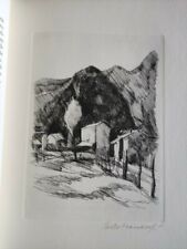 Paolo manaresi terra usato  Bologna