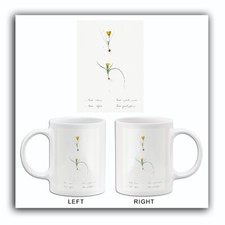 Caneca ilustração Ixia Recurva e Filifolia - 1805 Les Liliacees Pierre Redoute comprar usado  Enviando para Brazil