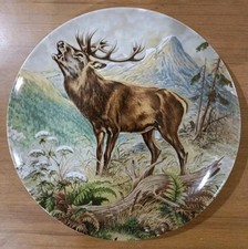 Piatto parete kaiser usato  Chieri