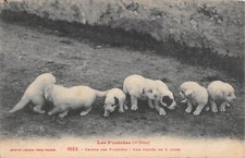 Old postcard pyrenees d'occasion  Expédié en Belgium