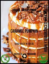 Caramel pumpkin wax for sale  LONDON