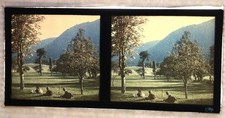 Autochrome parc vue d'occasion  Louhans