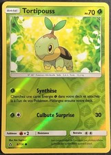 Carte pokémon tortipouss d'occasion  Metz-