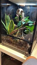 gecko vivarium for sale  OSSETT