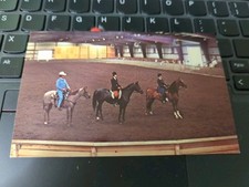 Usado, Cartão postal Arabian Appaloosa Horses @ William Woods Riding Arena show de cavalos N49 comprar usado  Enviando para Brazil