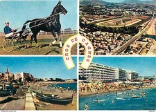 Animaux chevaux cros d'occasion  Fruges