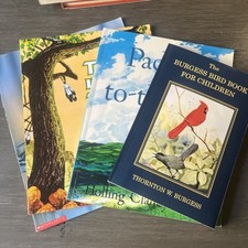Homeschool curriculum lot for sale  Gilbert