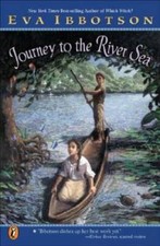 Journey river sea for sale  Montgomery
