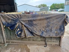 6f6 100g gallop for sale  WELLINGBOROUGH