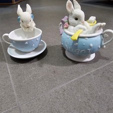 teacup bunnies for sale teacup bunnies for sale Midland