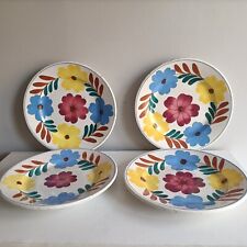 Ceramica vedova besio usato  Mondovi