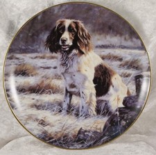 Trusty friend john for sale  CAMELFORD