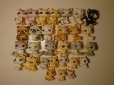 ¡Tú eliges! Littlest Pet Shop gatos pelo corto, persas, atigrados, gatitos y más segunda mano  Embacar hacia Argentina