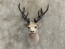 Wall mounted stags for sale  SELBY