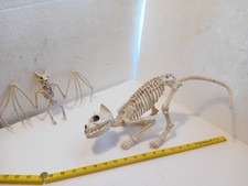 Halloween skeleton cat for sale  DEREHAM