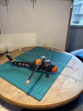 Display built belgian for sale  BROUGH
