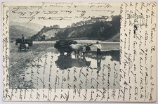 Bologna viaggiata 1903 usato  Bologna
