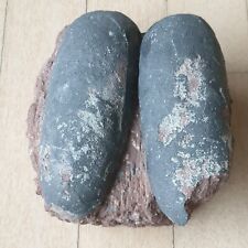 Oviraptor dinosaur eggs for sale  Shipping to Ireland