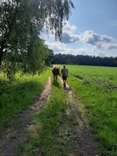 Magnetfeldtherapiedecke equima gebraucht kaufen  Verden