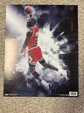 Michael jordan poster for sale  Grand Rapids