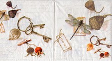 Servietten schatzset insekten gebraucht kaufen  Erfurt