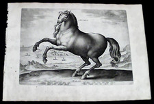 1580 rara appvlvs usato  Verona