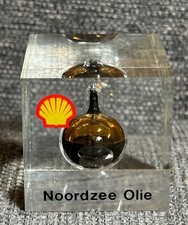 Rare shell noordzee for sale  BUCKINGHAM