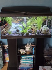 Complete 82l tank for sale  BRADFORD