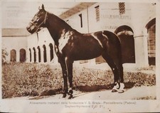 Cartolina ponte brenta usato Cartolina ponte brenta usato  Prato