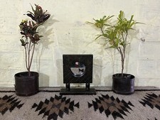 Indio Madera Art Handmade Tallado Decoración de Mesa Espejo Panel Marco Regalo, usado comprar usado  Enviando para Brazil