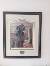 Nigel hemming pheasant for sale  LEEDS