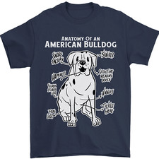 American bulldog anatomy for sale  COVENTRY