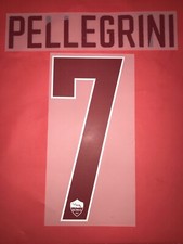 Kit pellegrini 7bordo usato  Vanzaghello